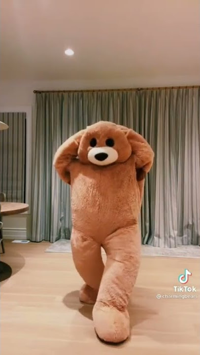 CHARMING BEAR DANCING ON TIKTOK VIRAL SONG #MUSIC #funny