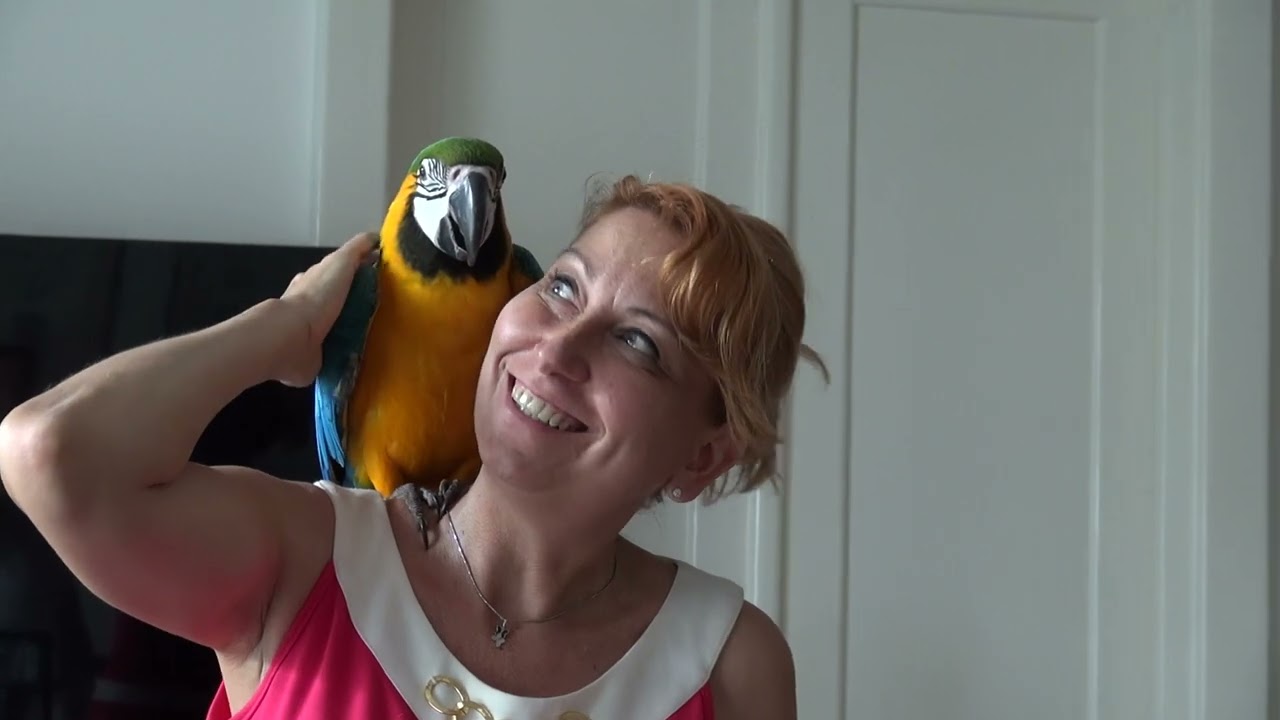 Ha ember figyelne emberre  Orvoshimnusz IV.