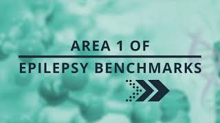 Epilepsy Research Benchmarks + Transformative Research Priorities: Area I