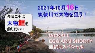 Jackall Egg Arm Shortyでついにキター その１ Youtube