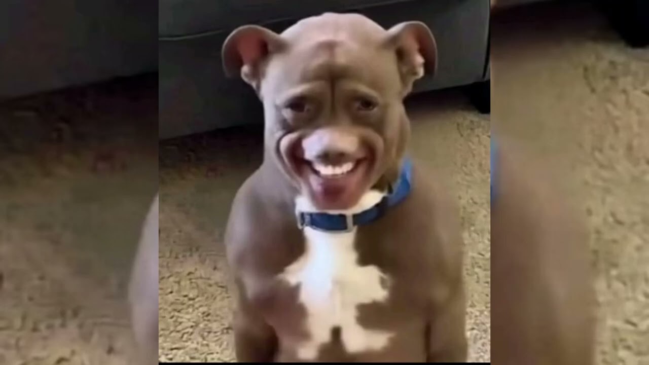 Dembow en maya ( love for music) Dreycco 