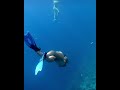 Diving at the Indians in the British Virgin Islands 🤿🇻🇬
