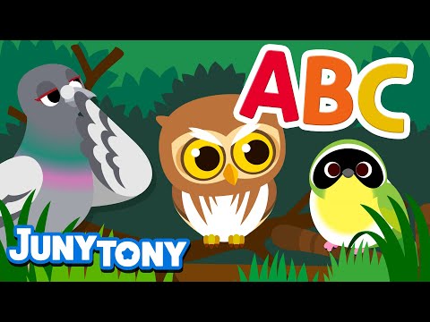Alphabet Birds |