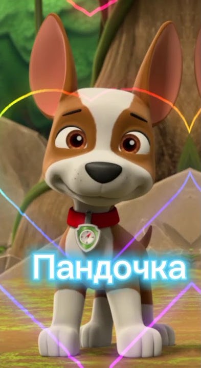 Трекер/Щенячий патруль - YouTube