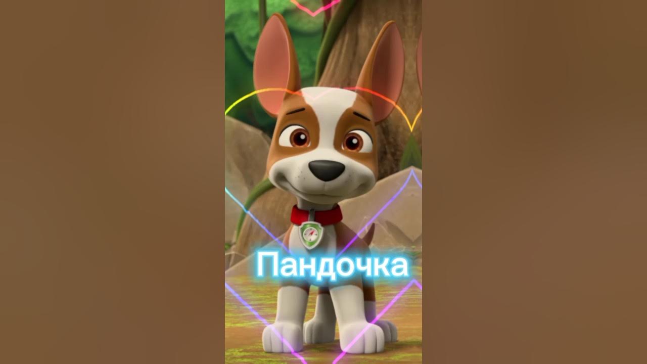 Трекер/Щенячий патруль - YouTube