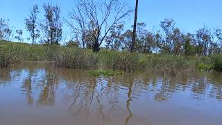 River Murray,  Walker Flat 2nd Dec 22