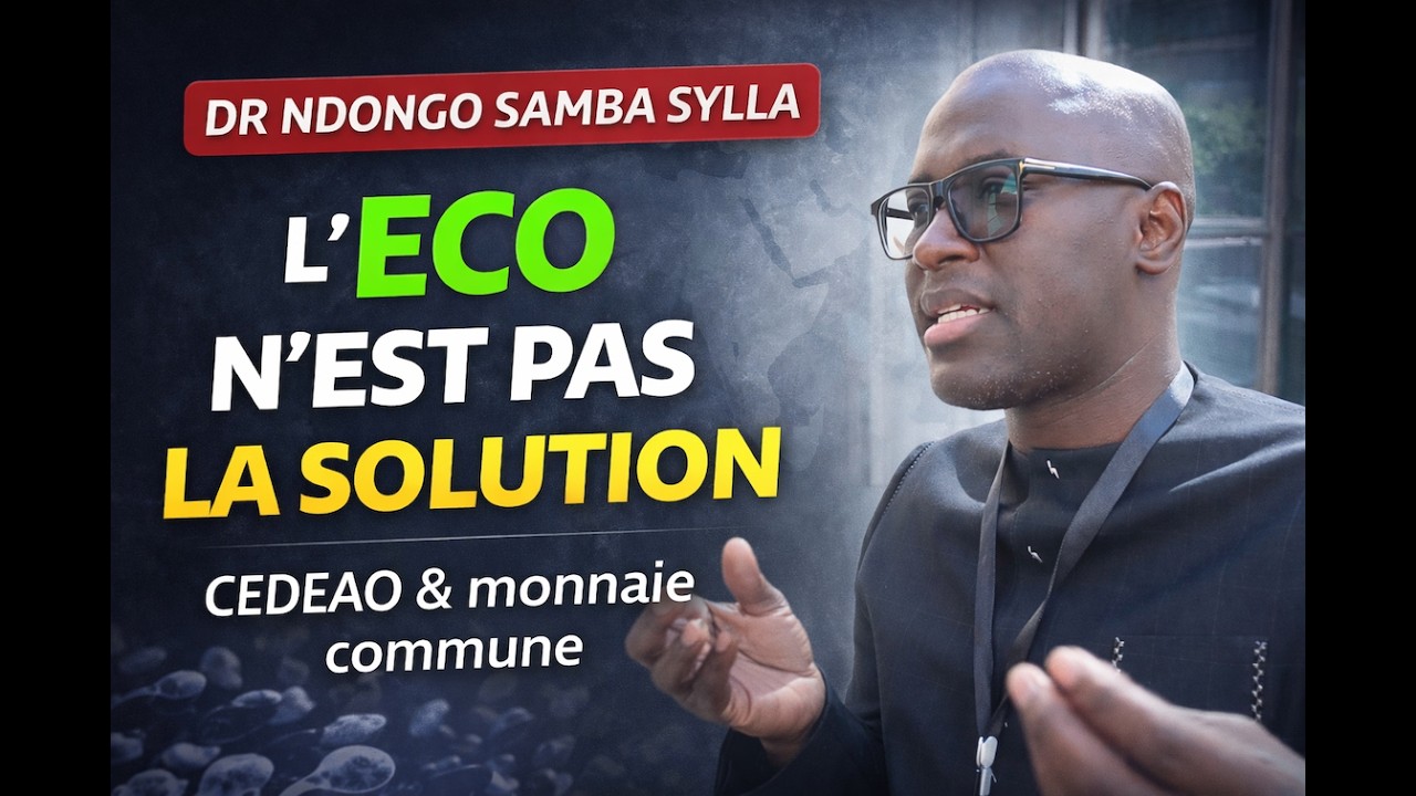 ECO, MONNAIE UNIQUE, NE RÈGLERA PAS LES PROBLÈMES MONÉTAIRES DANS LA CEDEAO