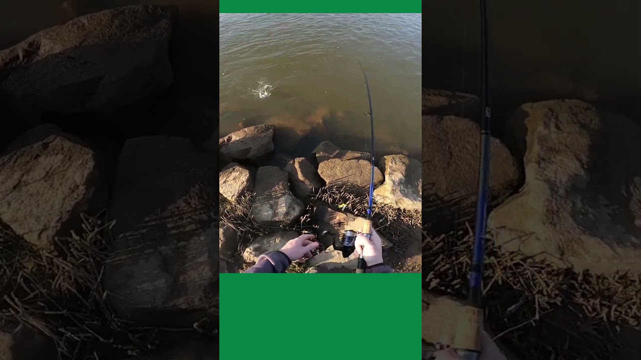 Fishing the James River #fishing #outdoors #shadfishing