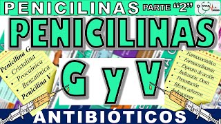 BENZATHINE PENICILLIN G, PROCAINE PENICILLIN, SODIUM PENICILLIN AND PENICILLIN V | GuiaMed