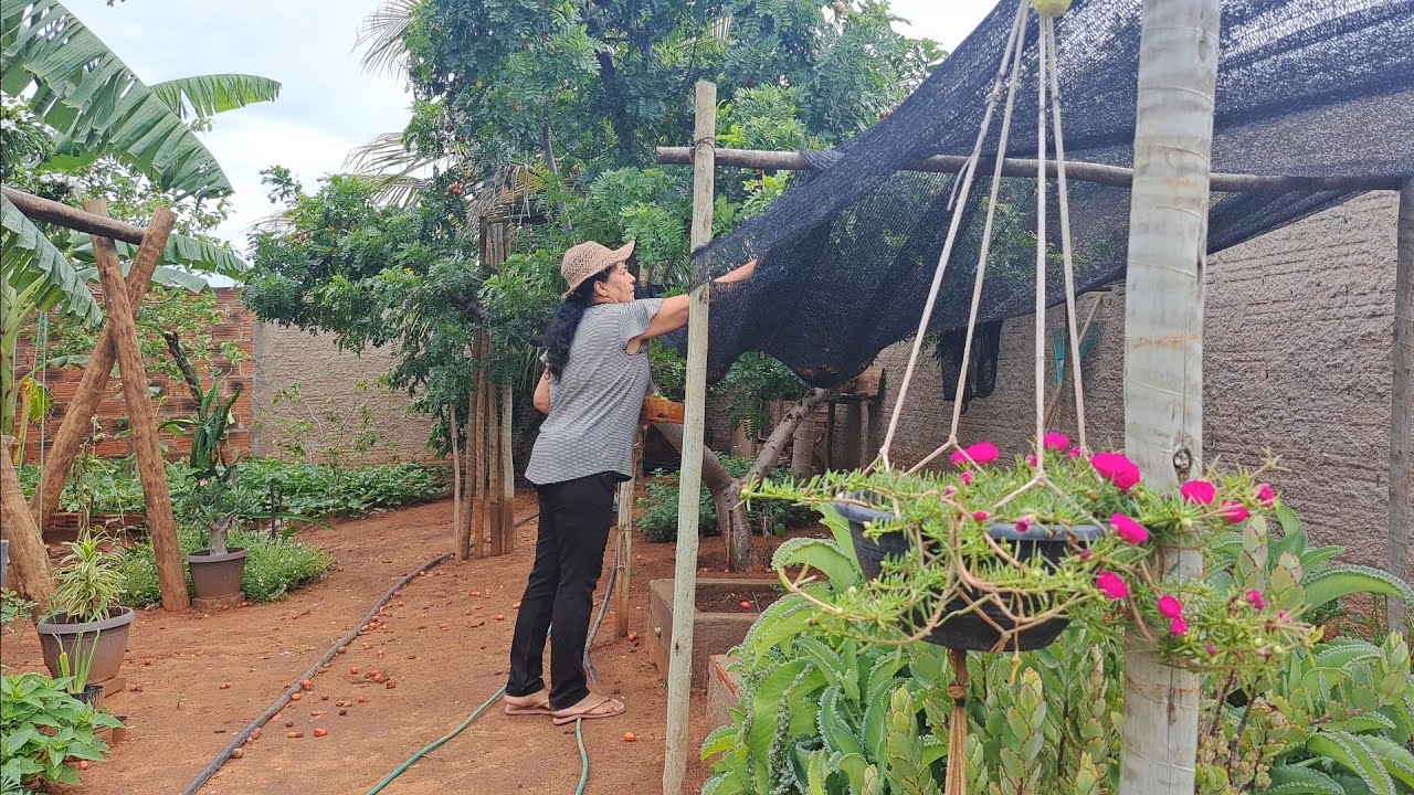 Como Ter Um Dia Tranquilo | Estilo de Vida Equilibrado | Café dá Manhã com Jardinagem 