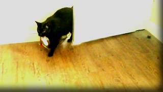 Franklin The Toy Hunter