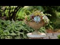 Succulent Arrangement Inspiration! 🌿🥰💚