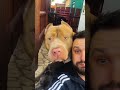 Pets Really Do The Most Unhinged Things 😂