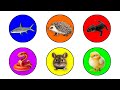 Pets: Chicks, Balasahrk Fish, Snake, Hedgehog, Dormouse, Crocodile Skink Lizard