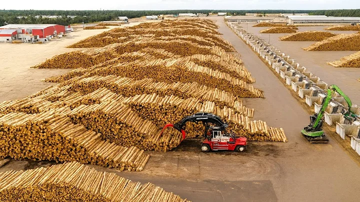 Inside America’s Most Advanced Sawmill | From Forest to Lumber in a $1 Billion Wood Empire