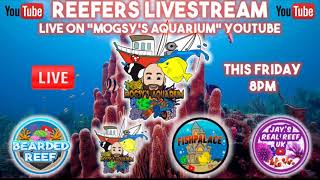 Friday livestream, get those Beers ready 🍺