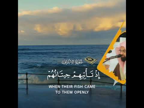 الشيخ ناصر القطامي فلما نسوا ما ذكروا به أنجينا الذين ينهون عن السوء