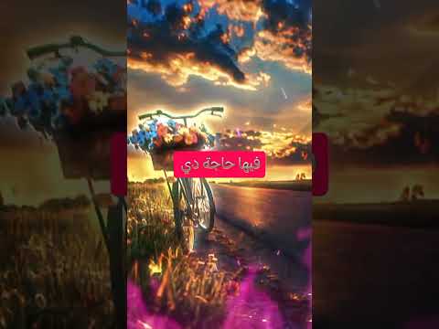 بيقولو عليا بارد حلات واتس اكسبلور فولو تيك توك