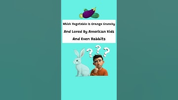 Which Bird is the Symbol of Peace in America? US | Fun Quiz for Kids | Little Quiz World  #usatrivia