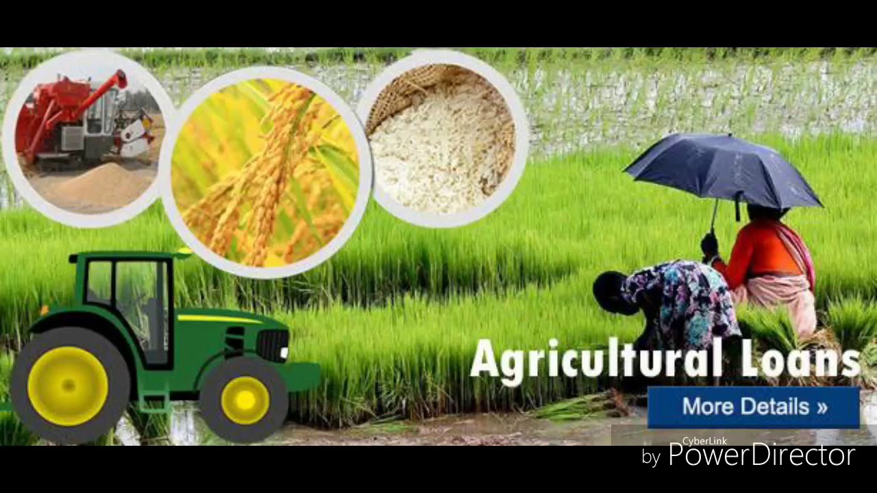 Agriculture loan - YouTube