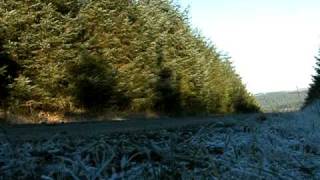 wales rally gb 08 078.AVI
