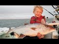 Saltwater Fishing Multispecies Catch & Cook: Amberjack, Tuna, Barracuda &  King Mackerel