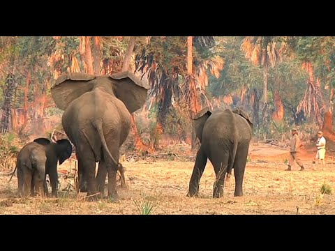 Explore Zambia with Zambia Tourism