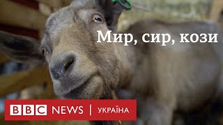 картинка: Війна забрала, а ферма врятувала. Бізнес на сирі та козах