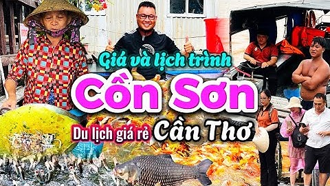 584. Cần Thơ - Chi tiết lịch trình đi tự túc Cồn Sơn xem cá lóc bay, bè cá 7 Bon và vườn trái cây