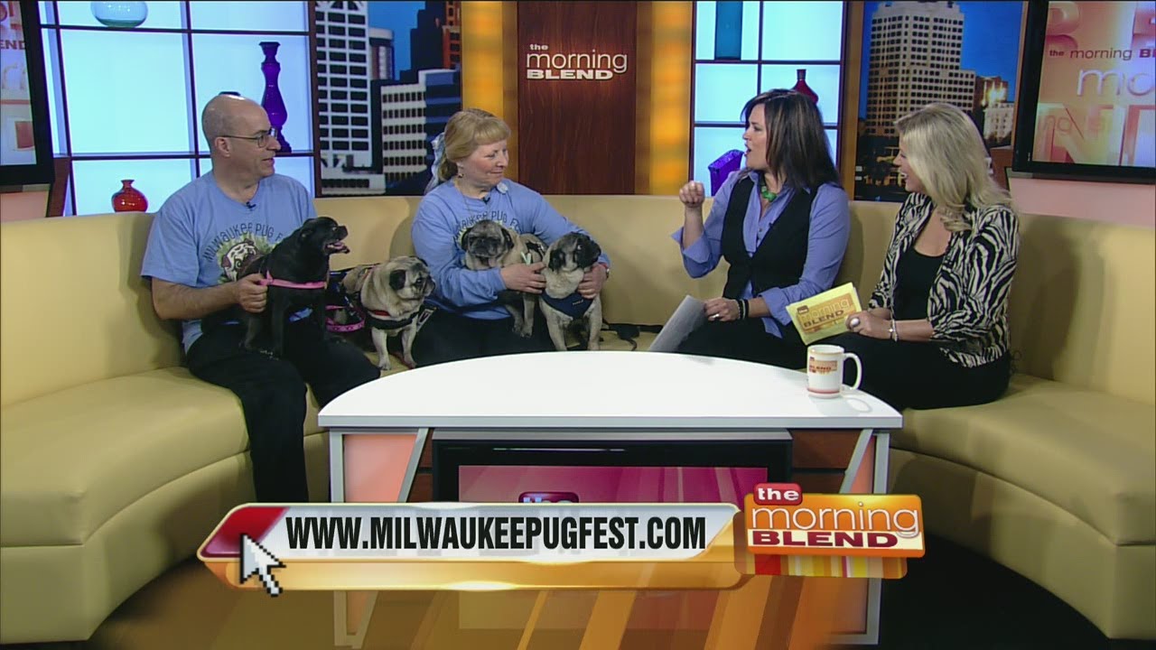 Milwaukee Pug Fest