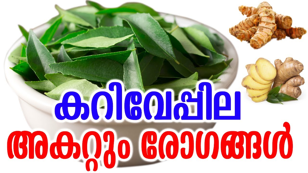 കറിവേപ്പില അകറ്റും രോഗങ്ങൾ Health benefits of curry leaves