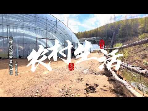 我的山里生活 #热门话题 小胖的山里生活！#乡村养殖 #乡村守护人 #乡村振兴 #东北
