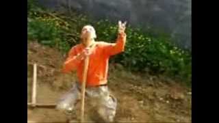 adel dans
