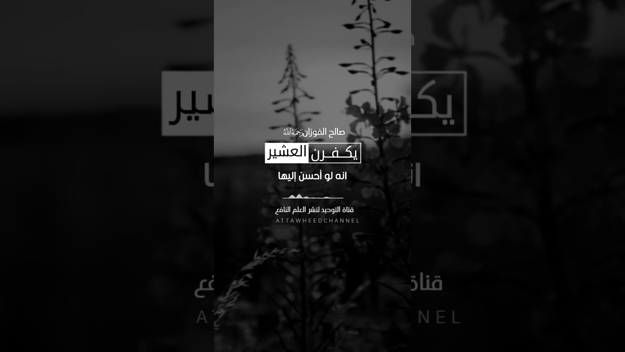 يكفرن العشير #الفوزان حفظه #الله