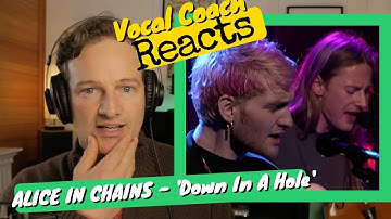 ALICE IN CHAINS 