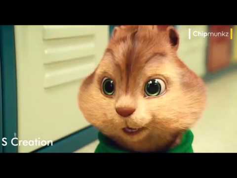 Mere Rashke Qamar || Squirrel Dance Song