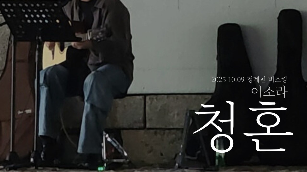 청혼 - 이소라 | 2025.10.09 청계천 버스킹