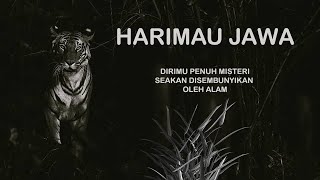 Ini Real HARIMAU JAWA Atau SILUMAN ?? [ Penelusuran ]