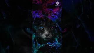 Born To Win By Ryan Innes