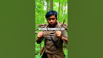 Mastering Wilderness Self-Defense Strategies