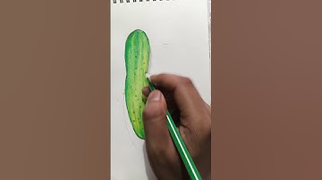 3D Cucumber drawing with colour pencils. #shorts #drawing #sketching