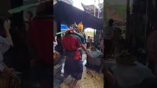 tari bali#joged#bungbung#goyang jos#video#shorts,dibantu#subscribe#like#trimakasih