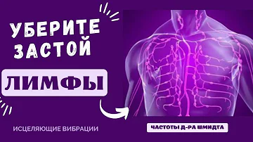 СРОЧНО УБЕРИТЕ ЗАСТОЙ ЛИМФЫ (ЛИМФОДРЕНАЖ) ЛЕЧЕБНАЯ МУЗЫКА С ЧАСТОТАМИ д-ра ШМИДТА