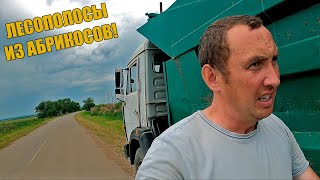 КУДА Я ПРИЕХАЛ?! 200км НА САМОСВАЛЕ В КАКУЮ-ТО ГЛУШЬ! Надо уносить ноги.