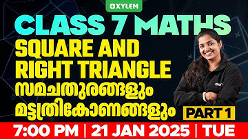 Class 7 Maths - Square and Right Triangle / സമചതുരങ്ങളും മട്ടത്രികോണങ്ങളും - Part 1 | Xylem Class 7