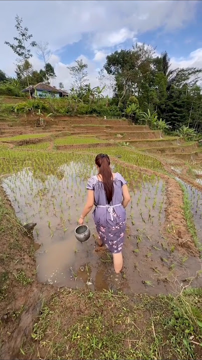 #rismanirmalasari #villagelife