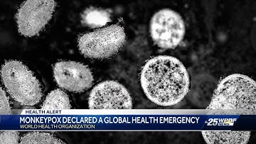 How monkeypox global emergency declaration could lead to more state resources to fight spread