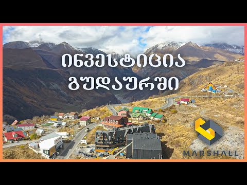 ინვესტიცია გუდაურში