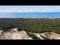 Куршская коса | Море | Лес | Песок