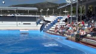 Mallorca TREFFEN Teil 5 SeniorenReisen (c)2003 W.Knorr
